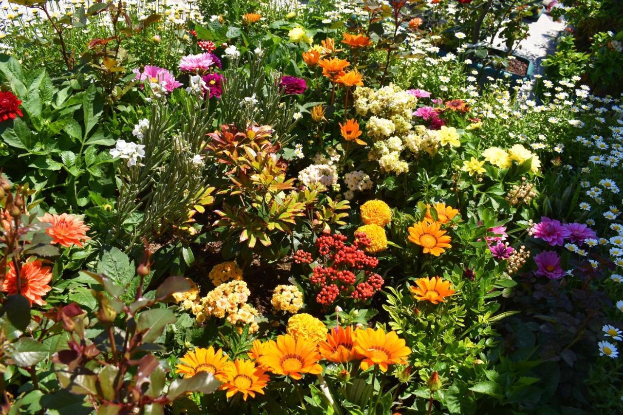 Hotel Garden Terrace Old اسطنبول المظهر الخارجي الصورة